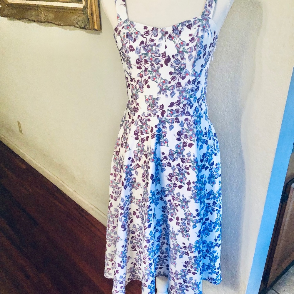 Belle Poque Floral Vintage Retro style dress